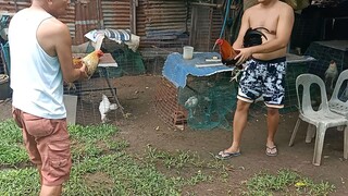 practice lang pang hack fight this July