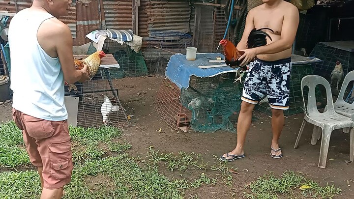 practice lang pang hack fight this July