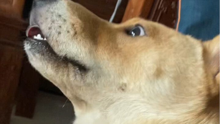 Next time you talk, huh?