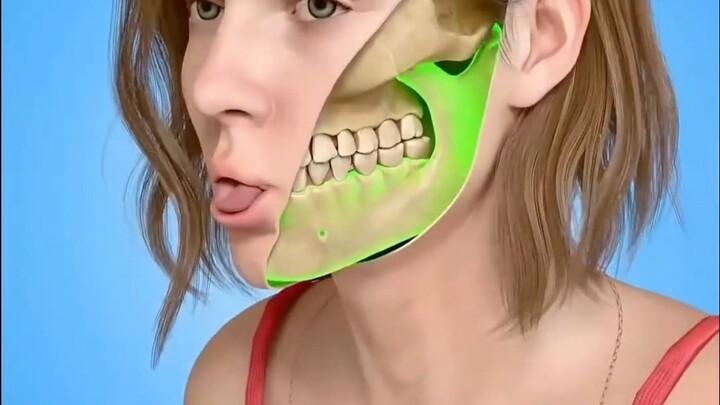 Con người có thể sưởi ấm như chim cánh cụt được không?