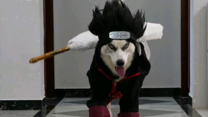 It’s the Akatsuki from Naruto!