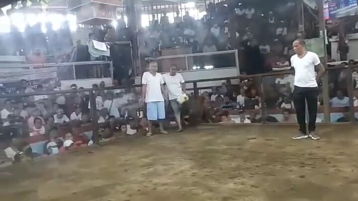 W-W-W-L 2 entry 2 hits 1 champion🏆full bros gold and brownred. syang 2nd entry d lumusot talisay