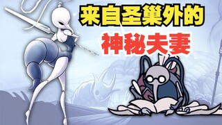 The Female War Goddess and Her Useless Husband? [Hollow Knight Character Profile] #5