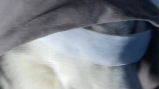 瞧瞧小说男二脸这不就有了