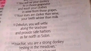 Daily Verse.             Genesis 49:13-15