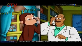 Curious George - Pria Topi Kuning Sakit Dub Indo