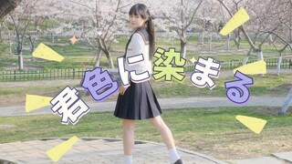 (Celebrating 4000 followers!) Day 200 of self-taught home dancing ♡染ing myself with your colors