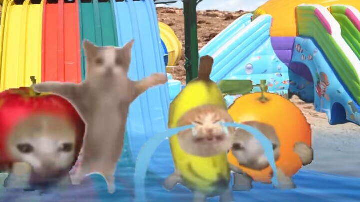 Kucing pisang ketahuan sedang bermalas-malasan...