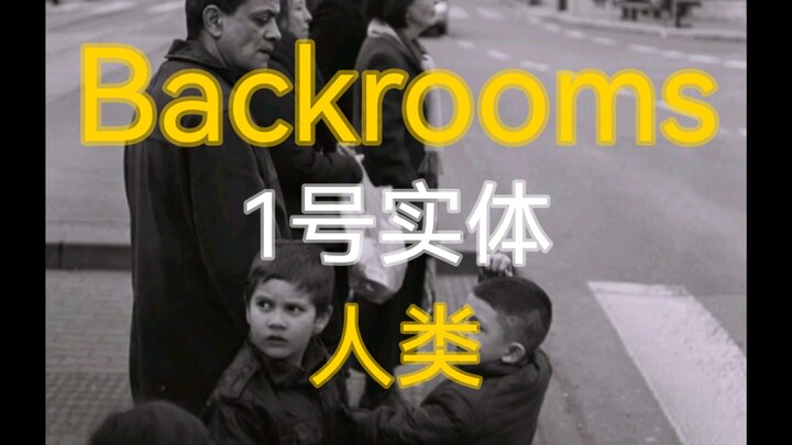 【Backrooms】Entity No. 1: Human. Do not be corrupted, do not despair, and above all, do not fall.