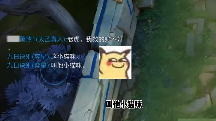 Pei Qinhu: When I’m in the jungle, you call me Tiger King; now you call me Little Kitty.