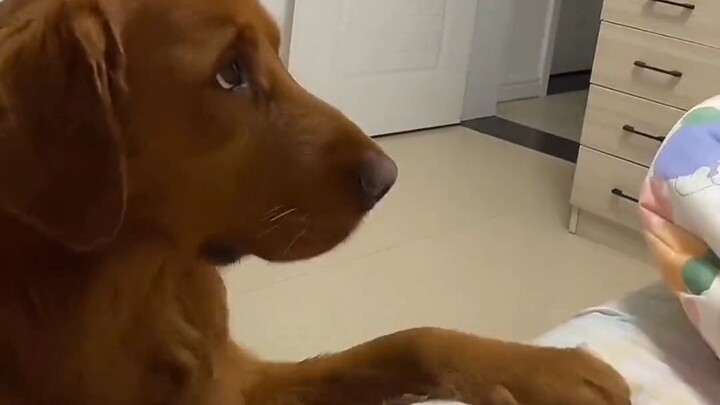 What a pained little expression...