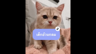 พนักงานนวดดีเด่น😂😂