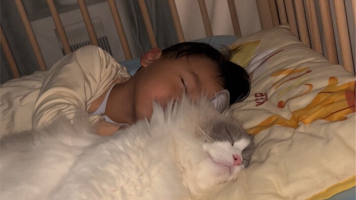 My cat’s weird behavior last night saved my kid from an accident… #PetsAndKids #PetLifeDiary #Raisin