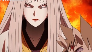 [Naruto Miscellany] Powerful but declining? An inventory of the short-lived and unpopular families i