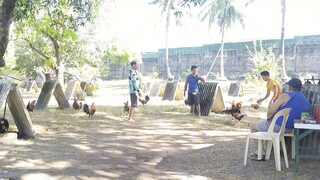 Sparing muna paghahanda sa sakuna👀🐓