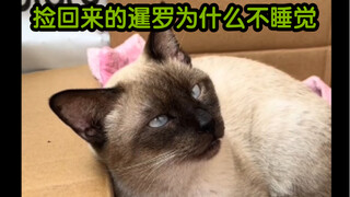 من الذي رباها هكذا ثم تخلّى عنها؟