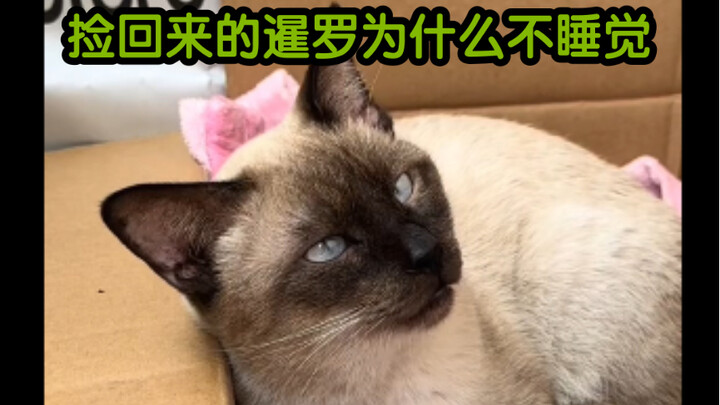 من الذي رباها هكذا ثم تخلّى عنها؟