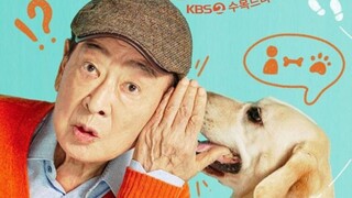 Dog Knows Everyting Episode 5 Sub Indo