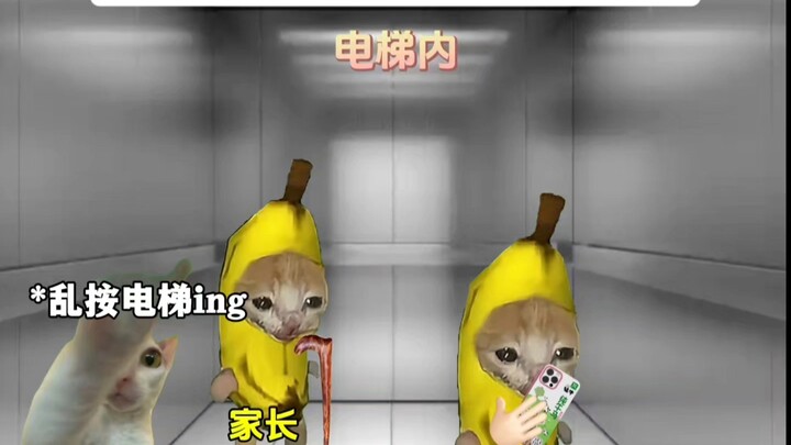 大学生:素质不详，遇强则强.