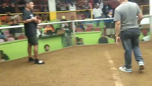 last fight spl gf88 at lipa cockpit wpc late born using a 3/4sbr 1/4 tornado cross.