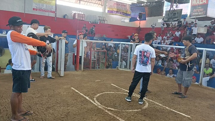 second  fight Bulacan Bulakan may 7 2023 (ITIM NA TALISAY)