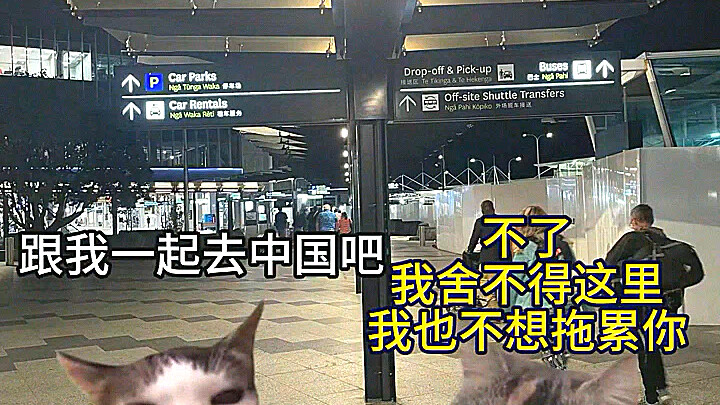 Ruzi’s Age-Defying Friendship