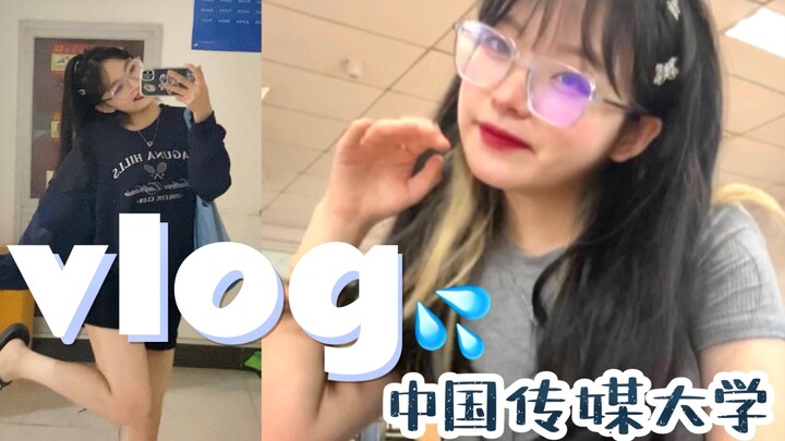 Đại học Truyền thông Trung Quốc | Được nhà nước chi trả để cưng nựng mèo? Vlog thường ngày trong kỳ 