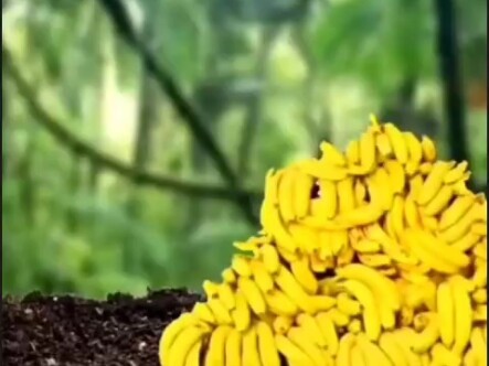 Hiện trạng học sinh trung học giải bài toán cuối cùng: Là kiểu…