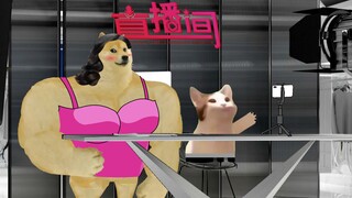 Thói quen của những người dẫn chương trình trực tuyến mang hàng quá giống nhau