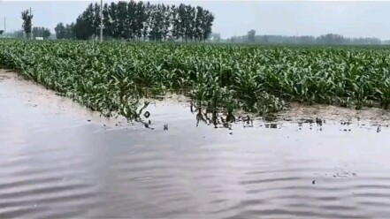 فيضانات خنان: مجموعة من الأشخاص اختفوا فجأة!