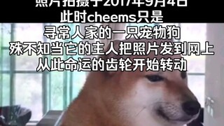 【تشيمز】 بدأت عجلة القدر في الدوران