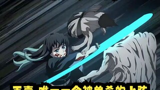 时透无一郎 VS 玉壶，唯一一个被单杀的上弦，也是唯一一个被切成臊子的上弦