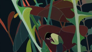 （申gobelins的作品集waiting list版）