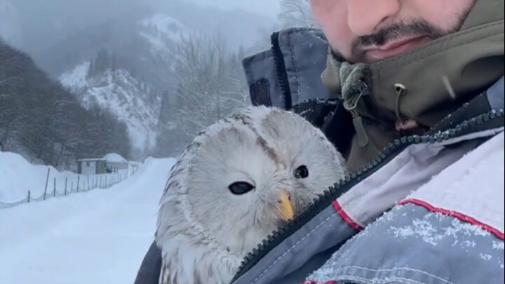 Kudengar orang Tiongkok semua suka memelihara burung. Ayo lihat burung-burungku, lucu nggak?