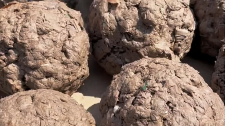 Back in those days, ceramic jars were expensive, so people used pulp to make makeshift jars for stor