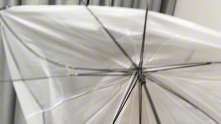 My royal raccoon designer #Raccoon #CutePetDebutProject #House破坏