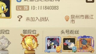 ราชาแมวลึกลับที่เลเวล 28