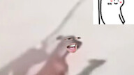 旺旺队立大功