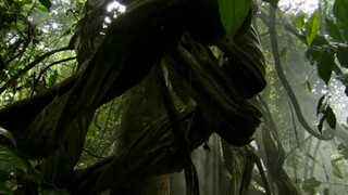 [Tập 7 - Thuyết Minh] Bảy thế giới, một hành tinh - Seven Worlds One Planet S01E07