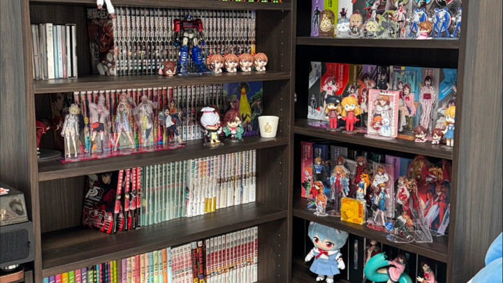 Buying so many manga books only fills half a shelf