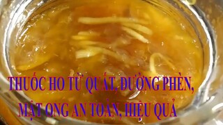 Cách làm SIRO TRỊ HO từ quả quất, mật ong, đường phèn, gừng đơn giản, an toàn và hiệu quả#CookingDT