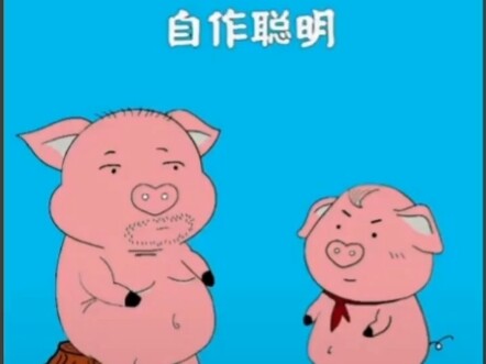 盘点猪屁登的那些满级套路，你能中招几个？