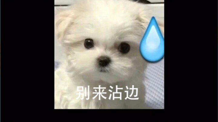 Luar biasa, kalimat ini sudah aku ukir di batu nisanku.