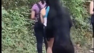 看吧，熊也怕冷暴力