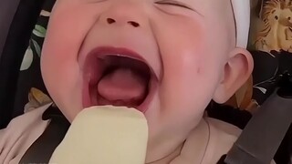 人类幼崽的味觉初体验