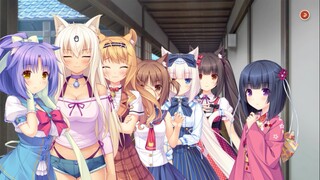 Nekopara - Petted for achievement