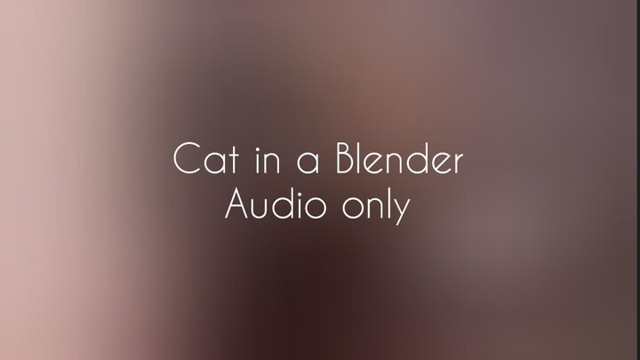 Cat in a Blender (Audio only)