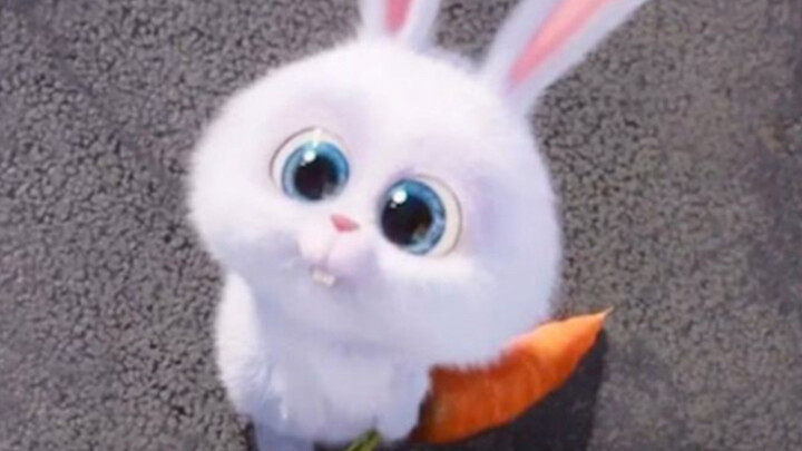 “هل سأظل هكذا حتى الثمانين؟”