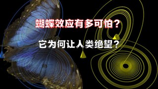 一个让人类绝望的理论，蝴蝶效应