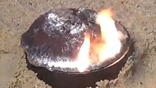 Ngay cả những con kiến mới sinh cũng không thoát khỏi! Đổ dung dịch nhôm nhiệt độ cao trực tiếp vào 